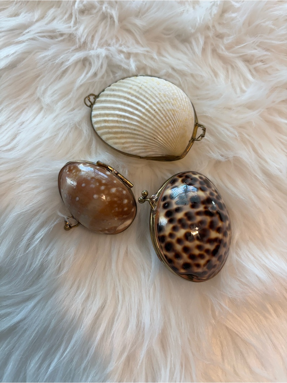 Vintage Shell trinket box coin Purse set of 3 brass hindged